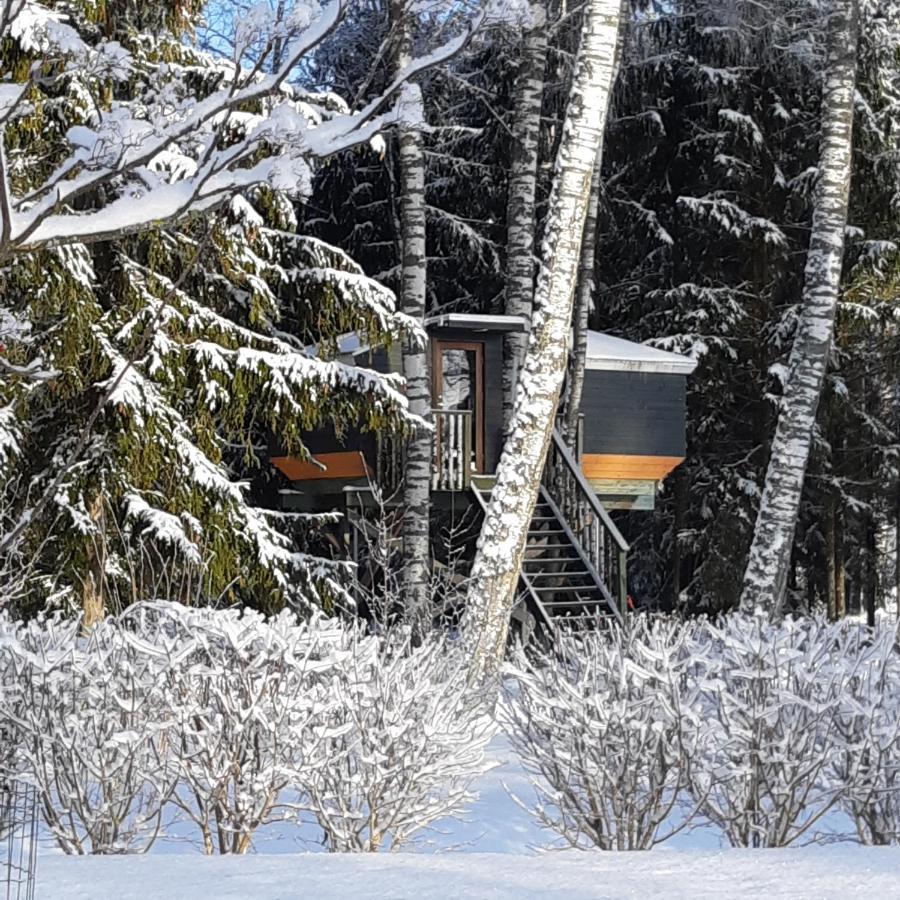 Spa Glamping Kirikumoisa Zewnętrze zdjęcie