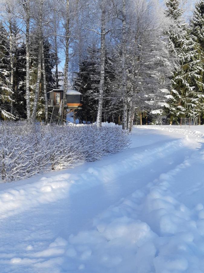 Spa Glamping Kirikumoisa Zewnętrze zdjęcie