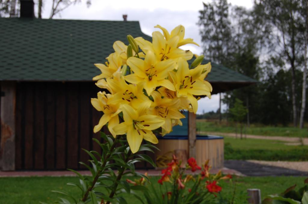 Spa Glamping Kirikumoisa Zewnętrze zdjęcie