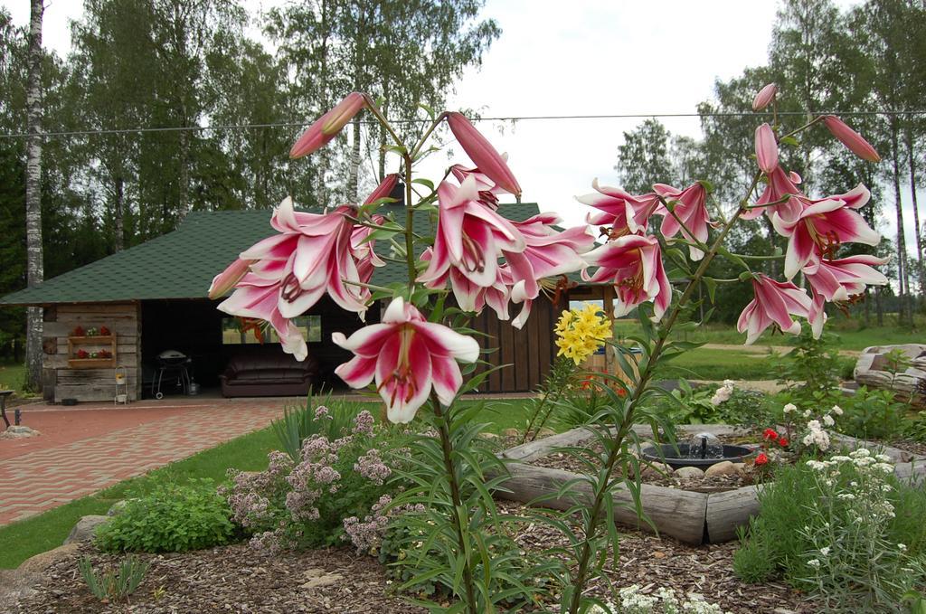 Spa Glamping Kirikumoisa Zewnętrze zdjęcie